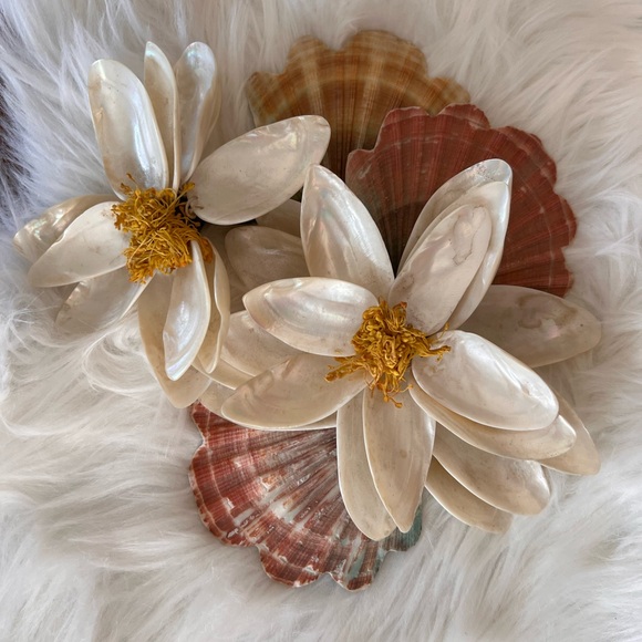 Shell magnolia pearlescent home decor mid century modern - Picture 6 of 9